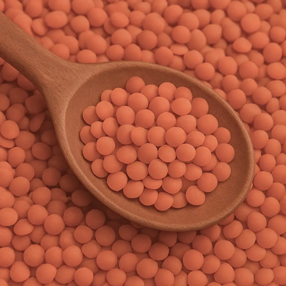 linsen-rot Rote Linsen – Bild 1