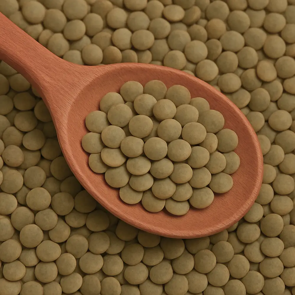 linsen Grüne Linsen – Bild 1