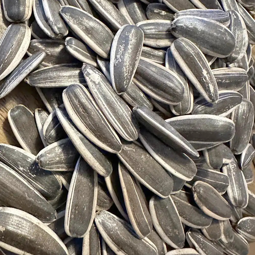 sonnenblumenkern Sonnenblumenkerne – Premium – Bild 1