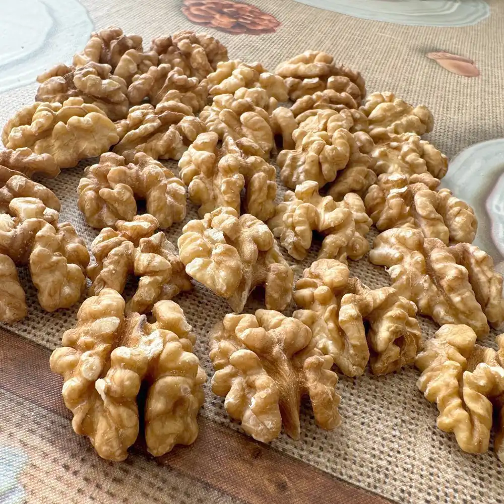 wallnuss Walnusskerne – Erste Klasse – Bild 1