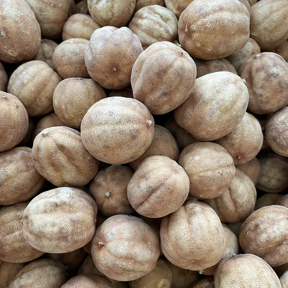 limoo-amani Limonen, getr – Bild 1