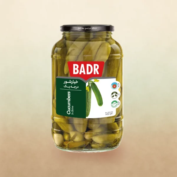 Salzige Gurken 1450 g