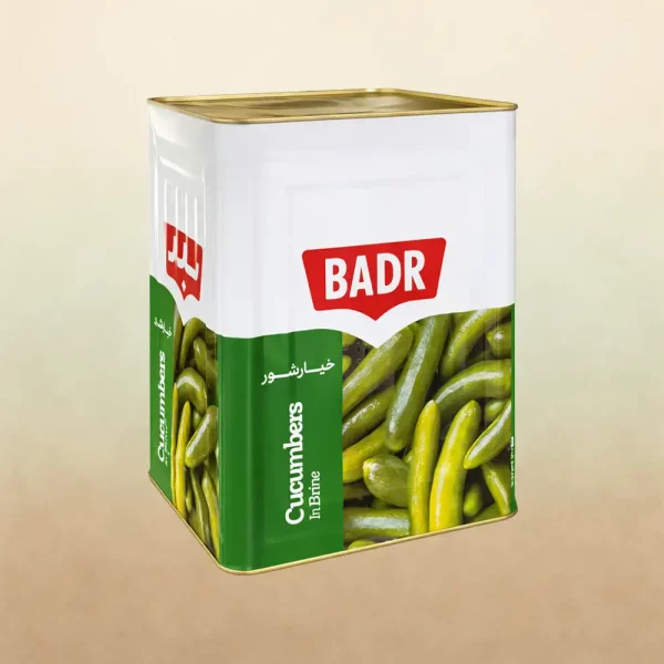 Salzgurken in Blechdose-18 kg